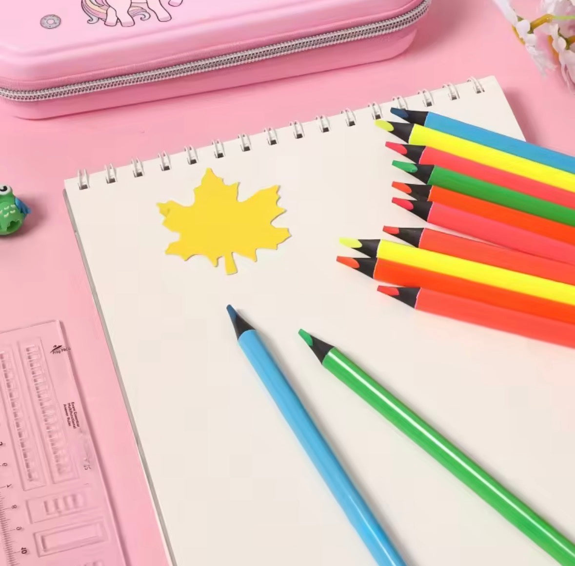 Professional 12 Colour Pencils Special Soft Core